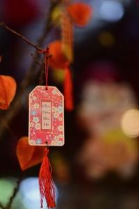tài xỉu di động Nohu
